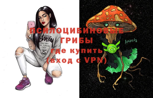 соль ск Александровское