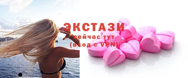 ECSTASY Богданович