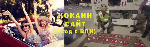 дживик Костерёво