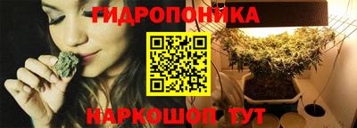 хмурый Заводоуковск
