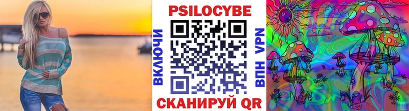 Псилоцибиновые грибы мицелий  Шахты 