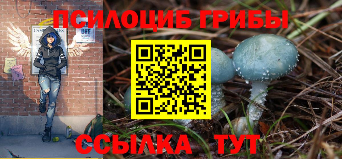Псилоцибиновые грибы Magic Shrooms Шахты