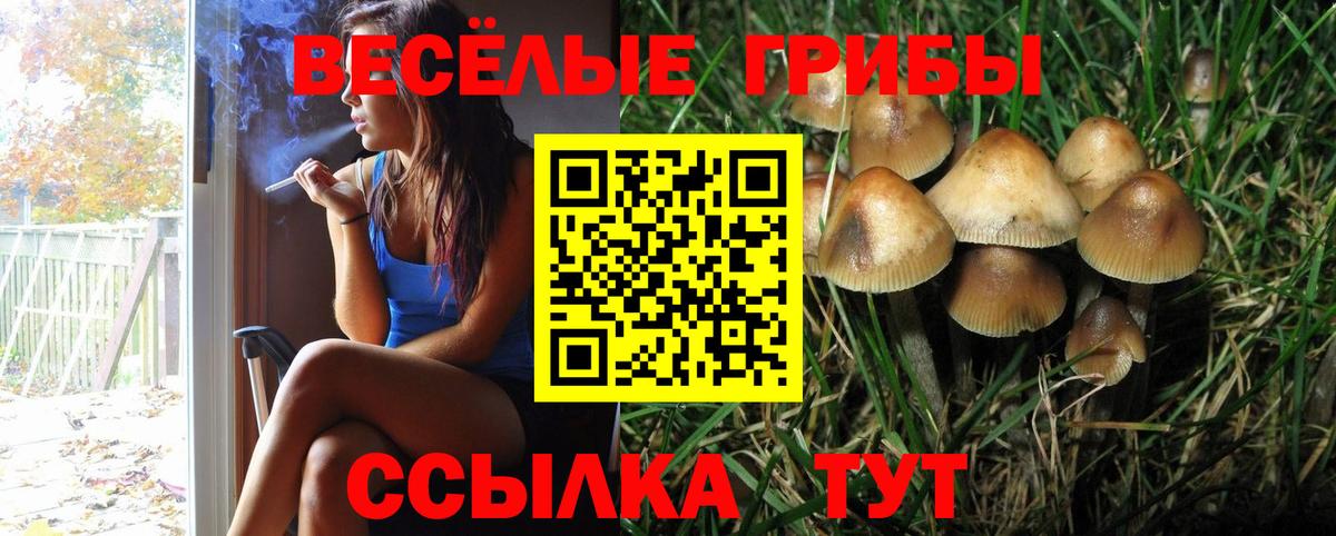 наркота  Галлюциногенные грибы GOLDEN TEACHER  Вход с VPN  Шахты 